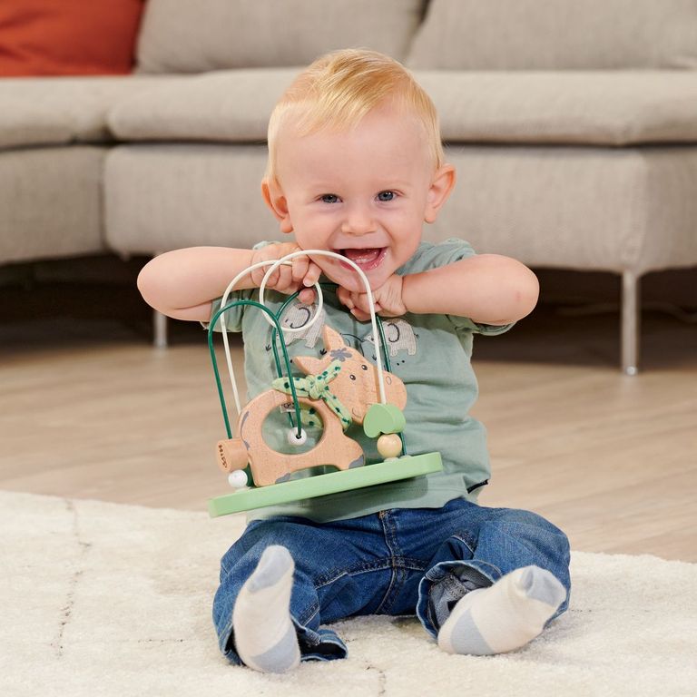 Fine Motor Toys