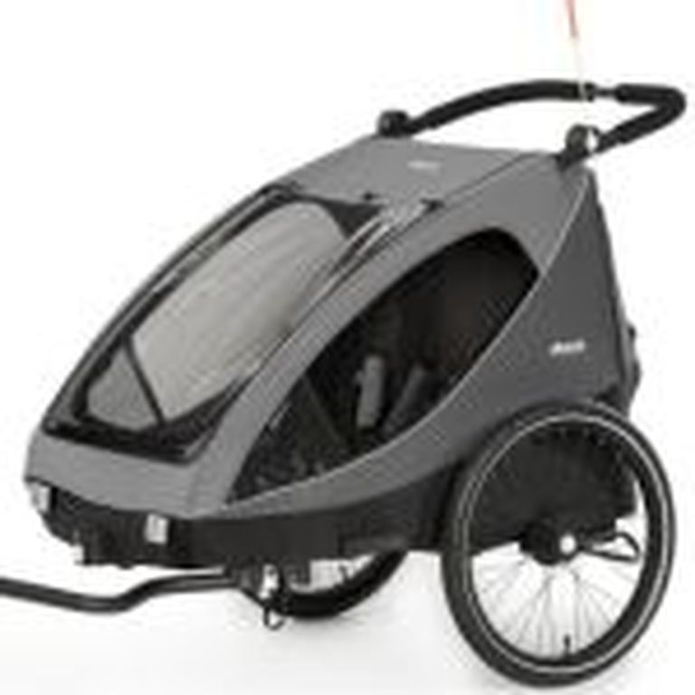 hauck fahrradanhänger Dryk Duo